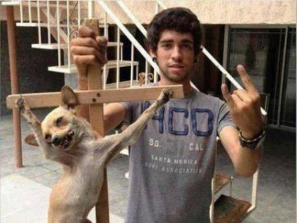 Jovem crucifica cachorra e posta foto na internet