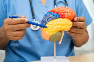 Médico apontando para um cerebro - @Reprodução